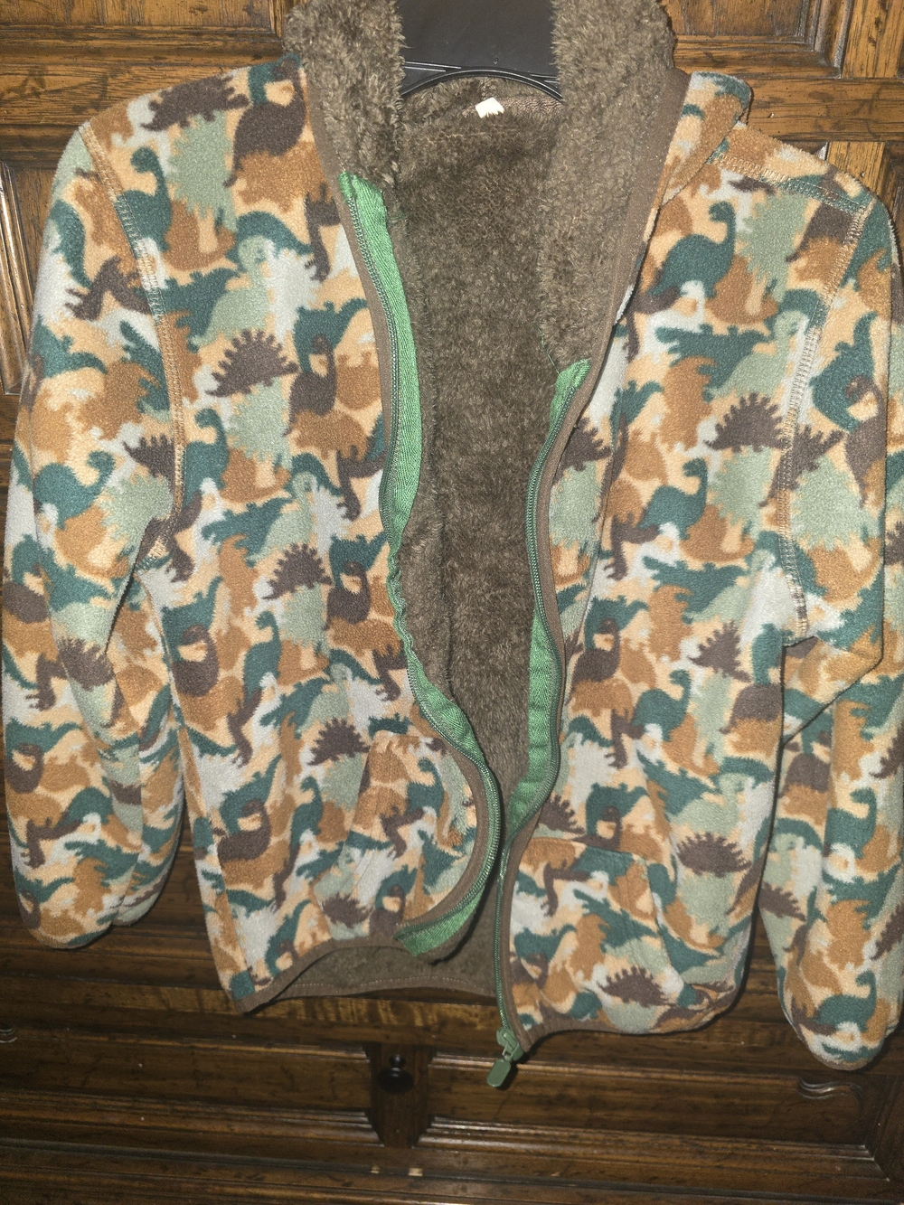Cozy Dinosaur Print Sherpa-Lined Fleece Jacket - Green & Brown